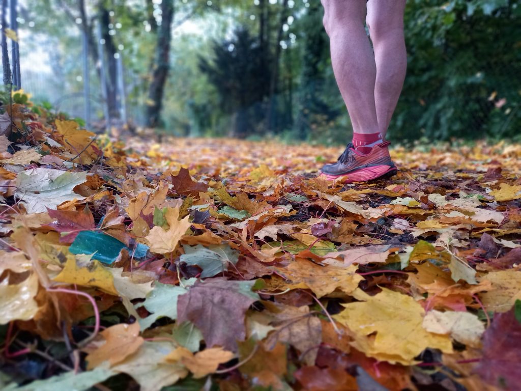 Autumn in Germany