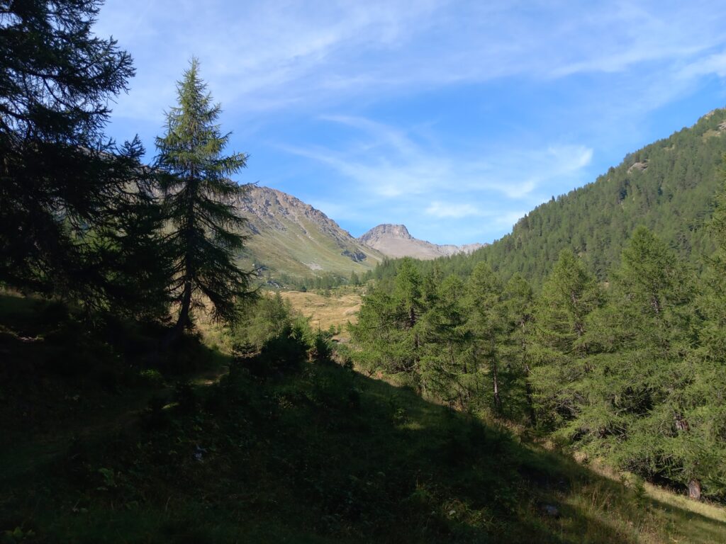 TMF-View of Mont Fallère