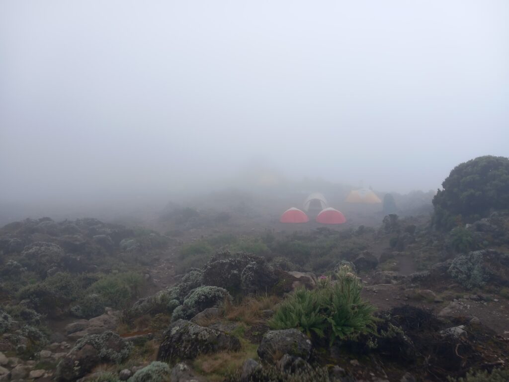 Kilimanjaro Trekking: fog and clouds at Baranco Camp