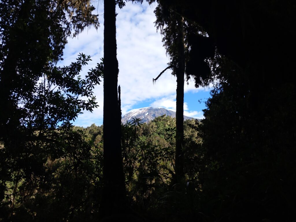 Kilimanjaro Trekking: last view of Kibo towards Mweka Gate