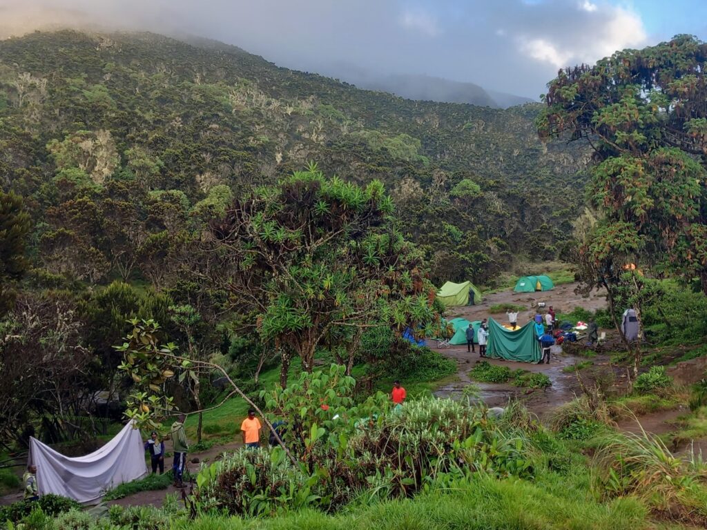 Kilimanjaro Trekking: Machame Camp
