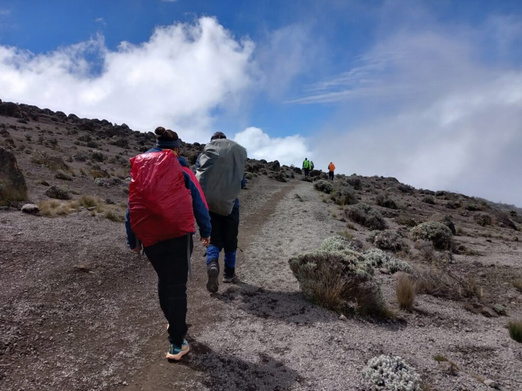 Kilimanjaro Trekking: outside the clouds towards Karanga Camp